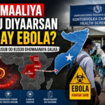 Soomaaliya Ma U Diyaarsan Tahay Ebola?