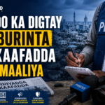 IPI Oo Ka Digtay Caburinta Saxaafadda Soomaaliya
