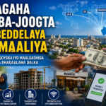 Lacagaha Qurba-joogta Ayaa Beddelaya Dhaqaalaha Soomaaliya.